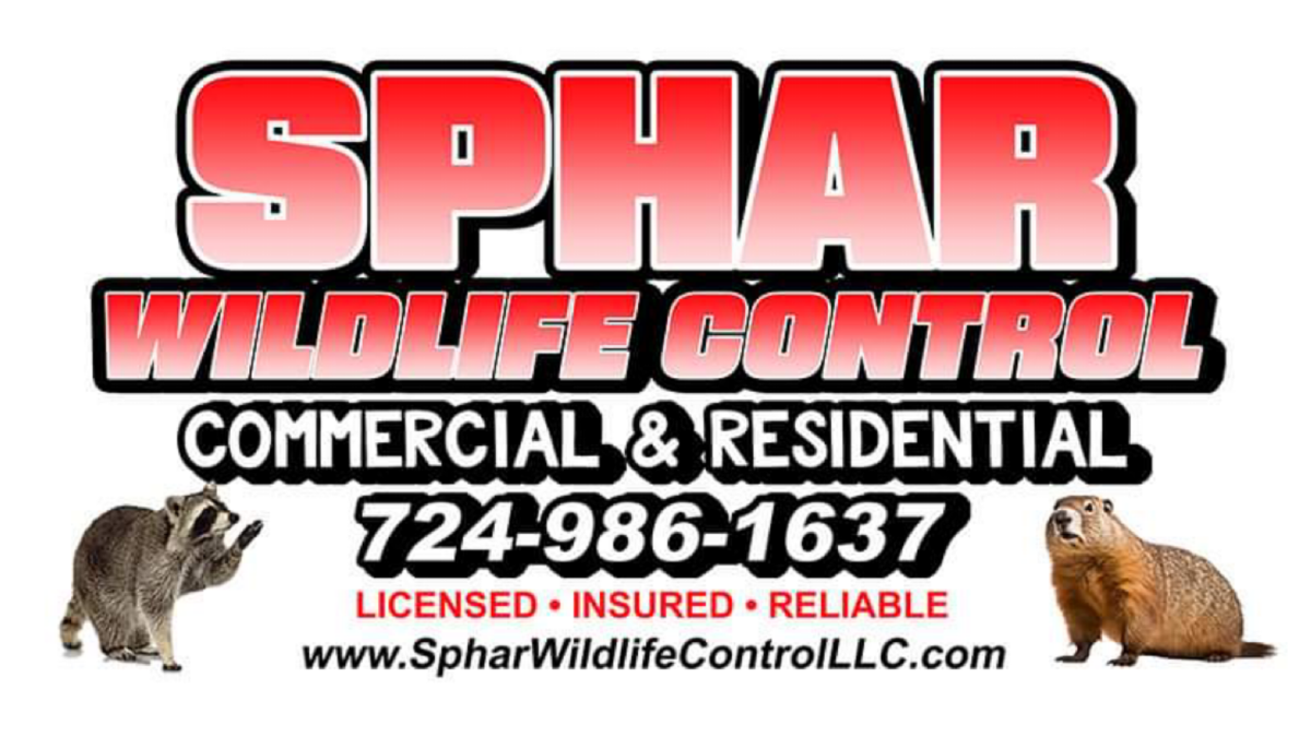 Sphar Wildlife Control, LLC